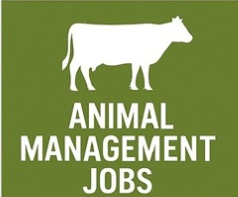 Animal Management Jobs