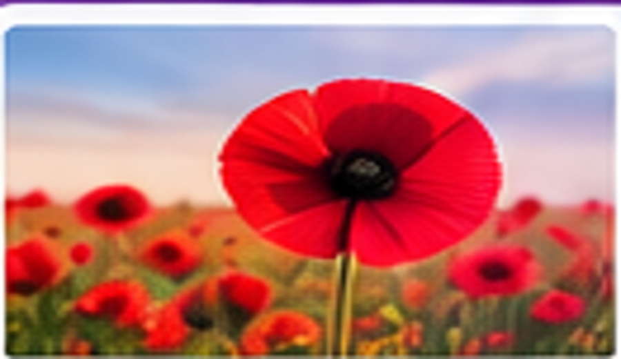 Remembrance_Sunday
