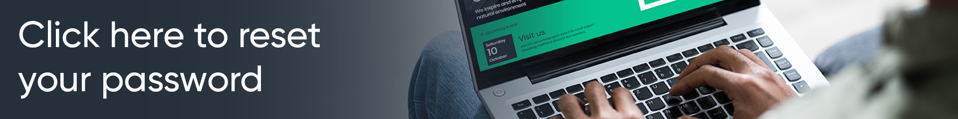 Password Reset Tool